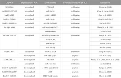 The emerging role of long non-coding RNAs in renal cell carcinoma progression and clinical therapy via targeting metabolic regulation